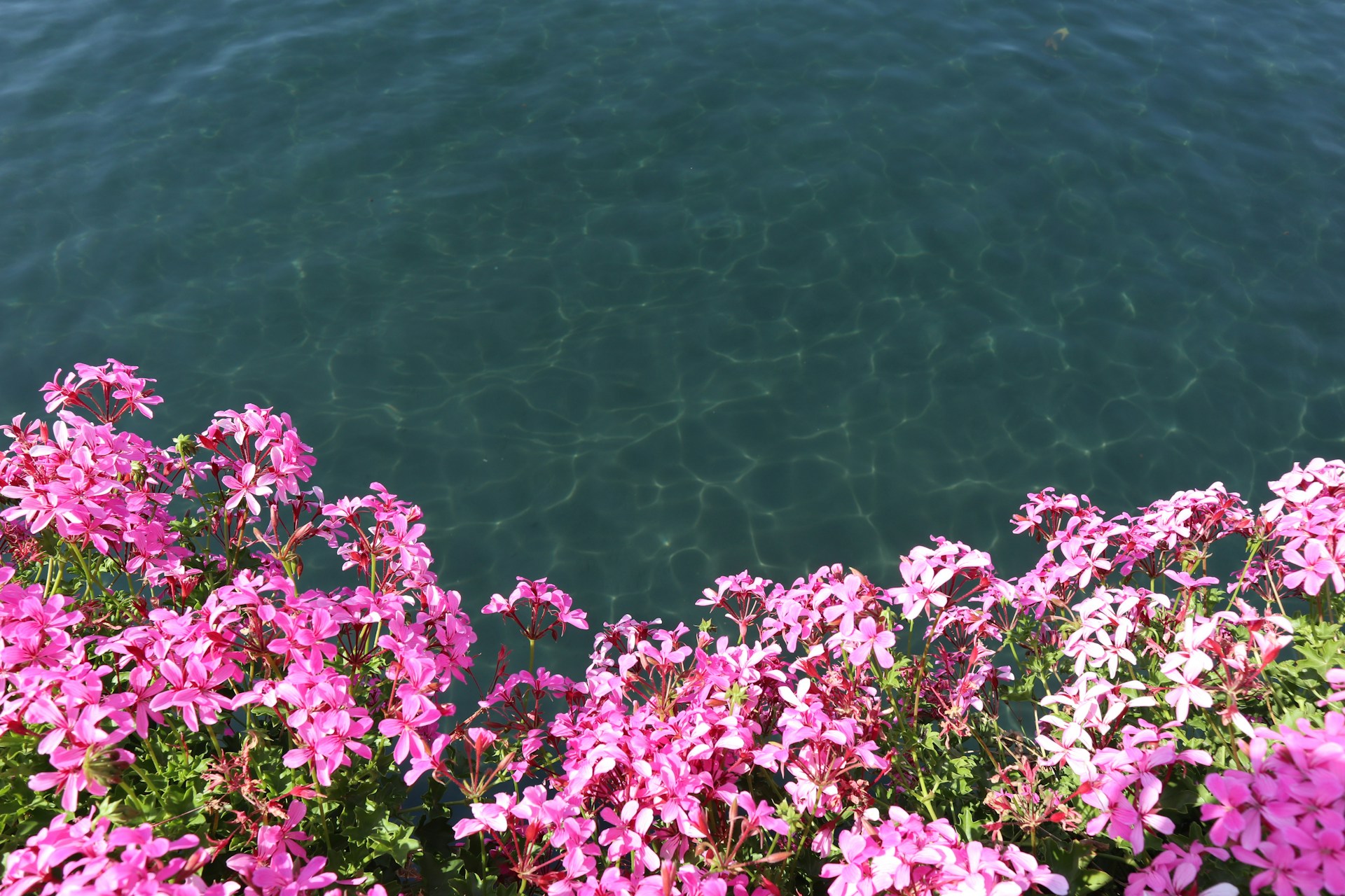 Stermalovia retraite en France